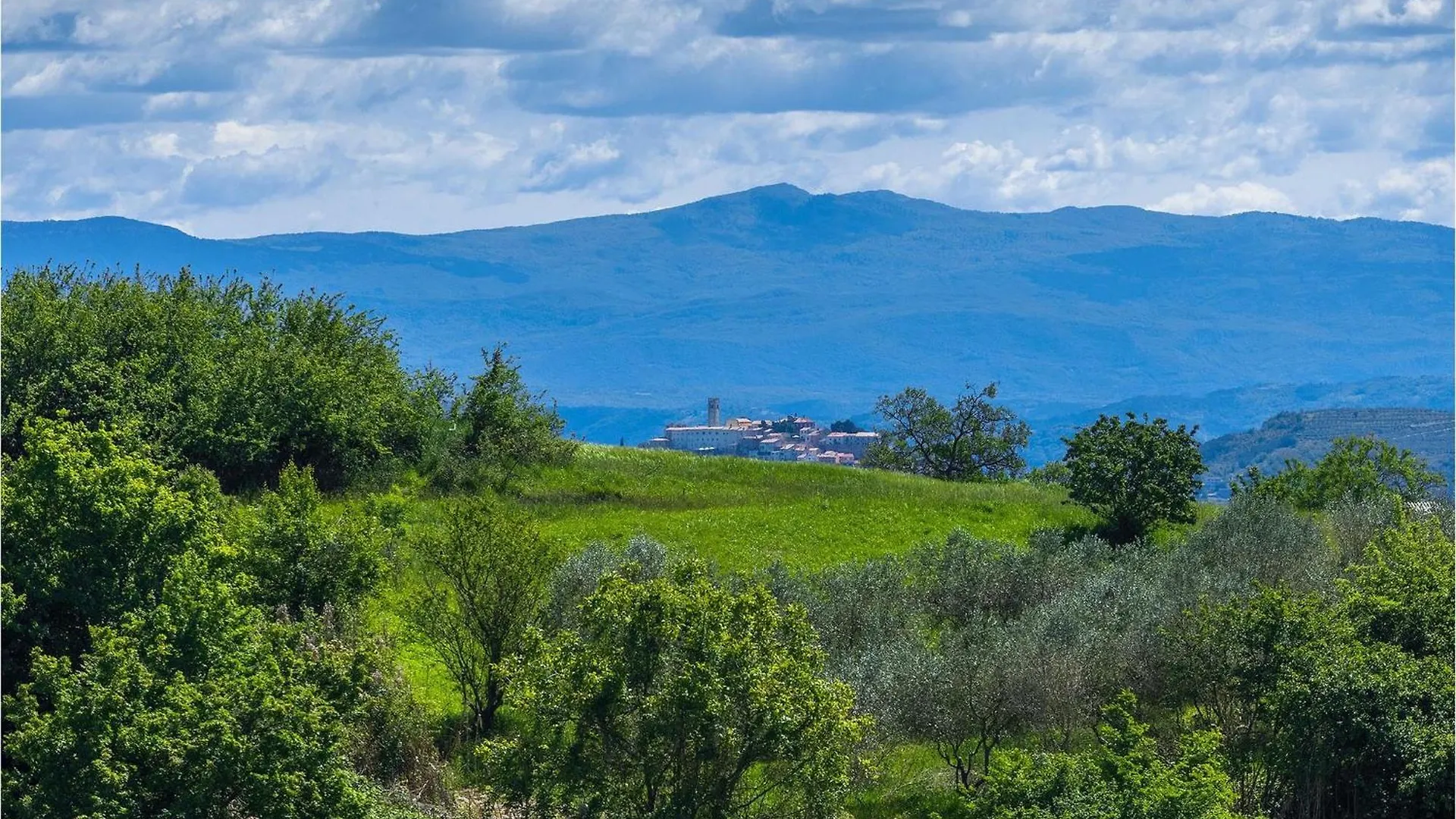 Сasa de vacaciones Villa Ulivo Vižinada